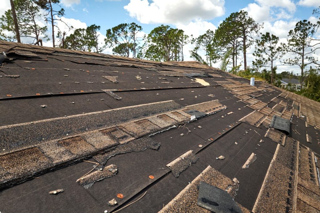 Severely damaged roof with missing and curled shingles, showing exposed underlayment and signs of wear, indicating need for full roof replacement.